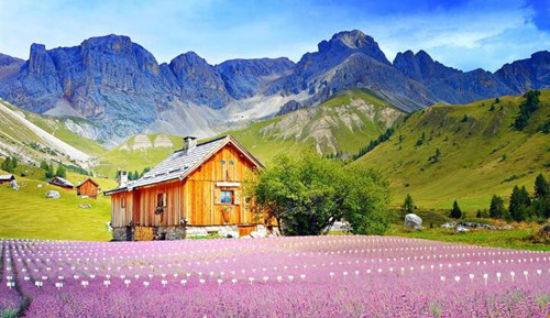 (園林景觀設(shè)計論文)范文：景觀綠化苗木種植技術(shù)