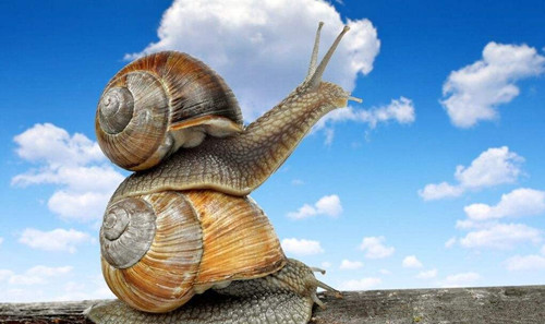 (給排水論文)試論建筑給排水工程常見施工質量問題及控制措施