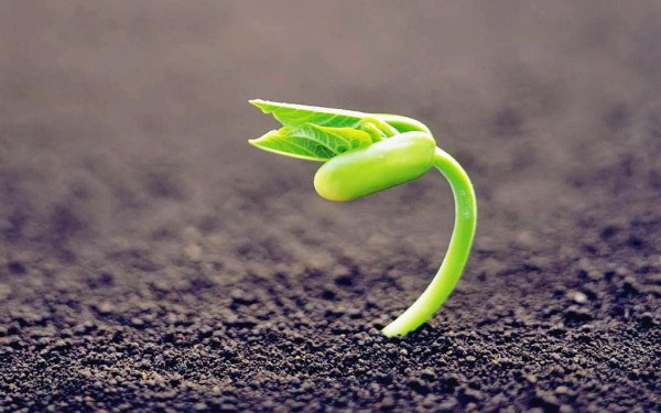 (教育研究論文發表)我國STEM教育研究熱點與趨勢分析(范文) (教育研究論文發表)我國STEM教育研究熱點與趨勢分析(范文)