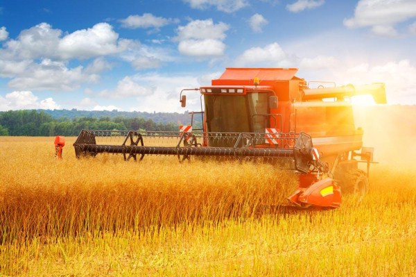 農業(yè)論文發(fā)表