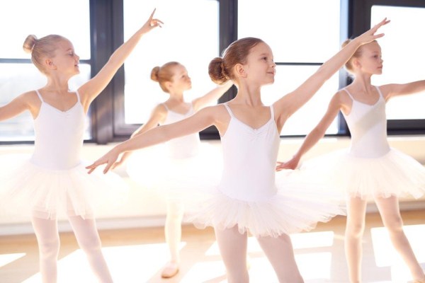 (小學體育論文)多媒體網絡環境下小學體育課教學模式探討（范文）