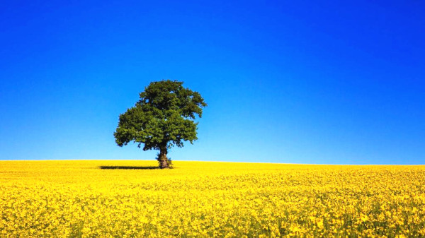 (經(jīng)濟(jì)管理論文范文)工程造價在現(xiàn)代建筑經(jīng)濟(jì)管理中探析 (經(jīng)濟(jì)管理論文范文)工程造價在現(xiàn)代建筑經(jīng)濟(jì)管理中探析