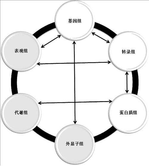 口腔醫(yī)學(xué)論文