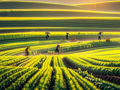 綠色農業論文 綠色農業論文